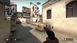 MAD CHE - ACE usp + defuse