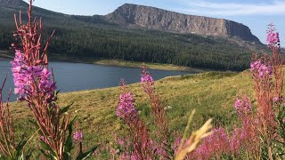 This Colorado town has a unique strategy to maintain the area's hiking trails