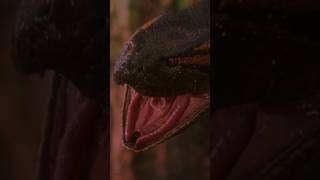 El Error De Anaconda 1997