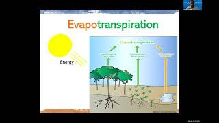 Hydrology 101 and DBHYDRO