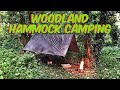Woodland hammock camping   wild camping  hammock camping in the uk