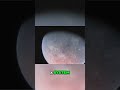 Polar Planet Discovery: Astonishing 90-Degree Orbit! #shorts