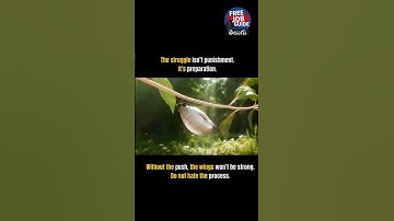 If you get tired, learn to rest — not to quit.