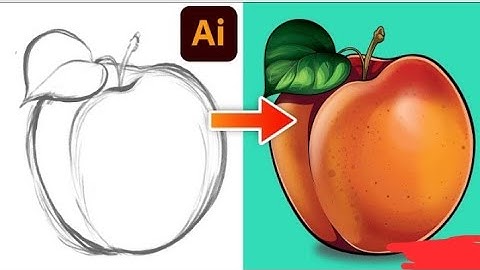 Adobe Illustrator Tutorial: Vector Peach from Sketch 2023
