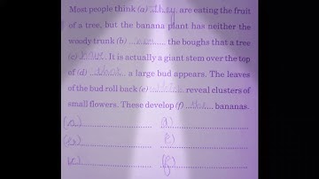 Class 10 BBC Compacta gap filling part 5