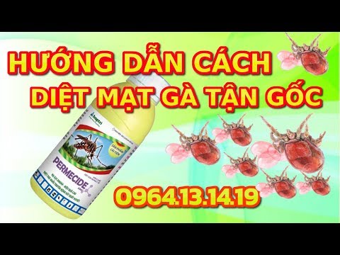 HƯỚNG DẪN CÁCH DIỆT MẠT GÀ | 0964131419 | DIỆT CÔN TRÙNG | Foci