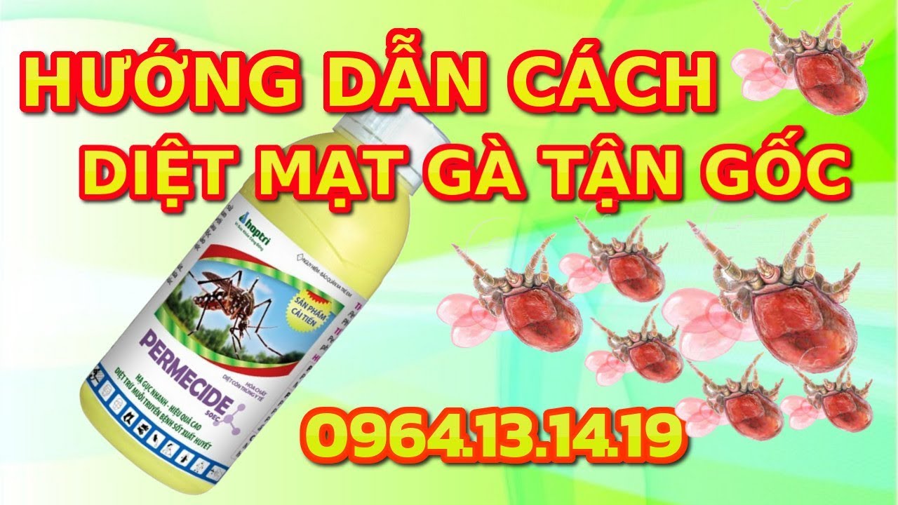 Hướng Dẫn Cách Diệt Mạt Gà | 0964131419 | Diệt Côn Trùng - Kho Cung Cấp  Những Kinh Nghiệm Cho Dân Chơi Gà - Webgiasi.Vn - Siêu Thị Bán Sỉ Hàng Đầu  Việt Nam