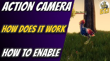 Guild Wars 2 Action Camera | How Does It Work And How To Enable