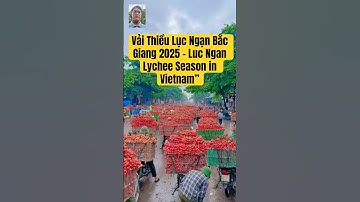 Vải Thiều Lục Ngạn Bắc Giang 2025 – Luc Ngan Lychee Season in Vietnam #vảithiều #bắcgiang