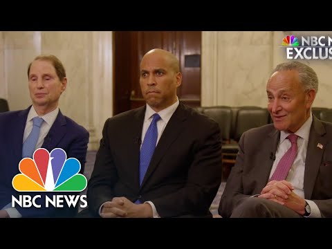 NBC Extraordinary: Top Senate Democrats Fabricate Push to Decriminalize Weed thumbnail