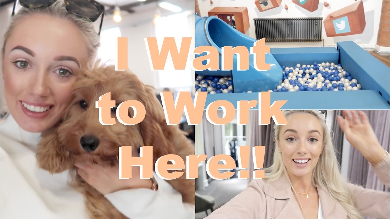 The Most Incredible Office EVER! (With Puppies and a SLIDE!)   |   Fashion Mumblr Every Day May
