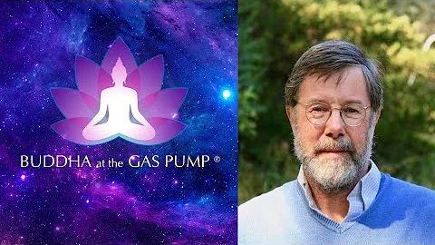 Llewellyn Vaughan-Lee - Buddha at the Gas Pump Int...