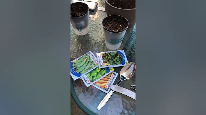Part 1 of planting seeds with Mamaw while in Quara...