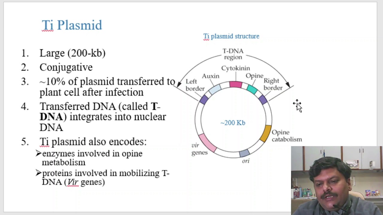 Plant Cell Culture & Applications transgenic Plants