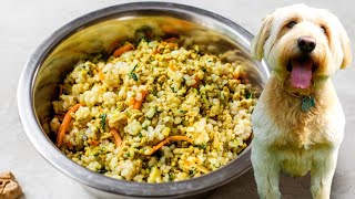 HOMEMADE DOG FOOD | healthy dog food recipe screenshot 5