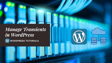How to Delete, clear and Manage Transients in WordPress | Transients Manager