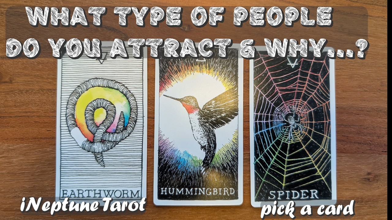 WHAT TYPE OF PEOPLE DO YOU ATTRACT & WHY...? 🌊| Pick a Card Tarot Reading (Timeless)
