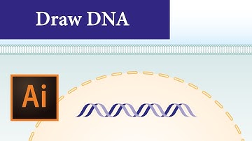 Draw DNA in Adobe Illustrator (2019) | Graphical abstract | Scientific Illustration