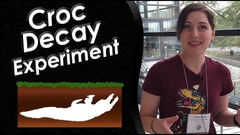 Taphonomy aka How Are Fossils Formed