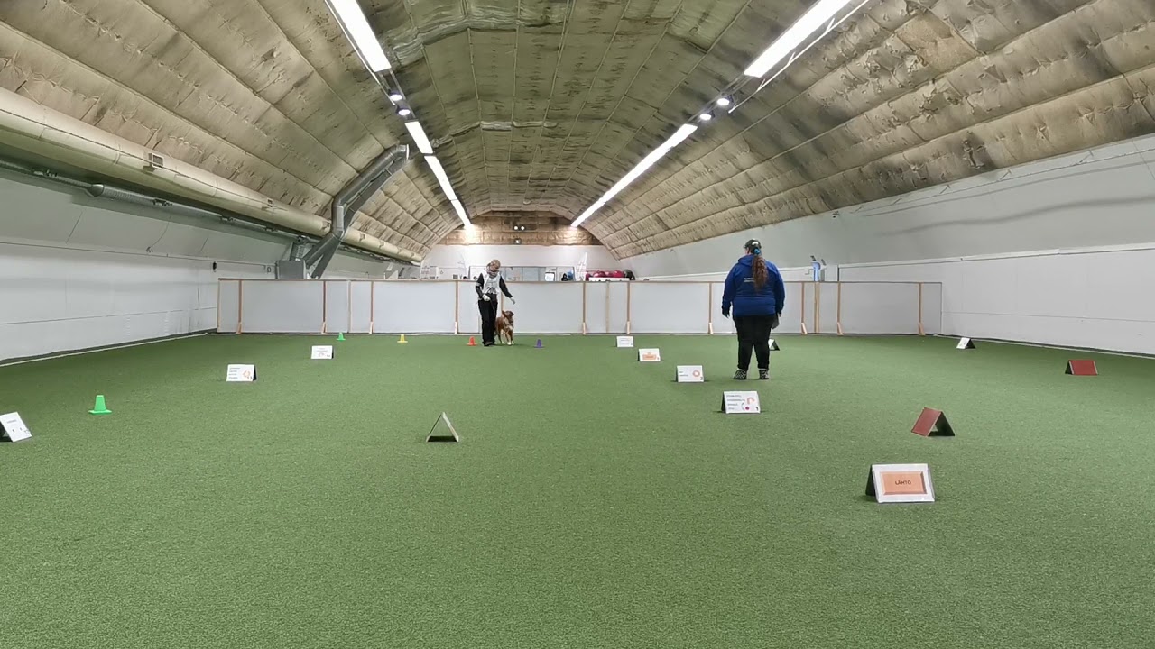 Nova Rally-toko SM alo 97/100p, RTK1 Hyvinkää 17.10.2021