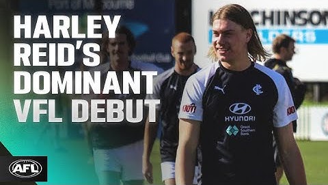 Harley Reid looks a class above for Carlton 👀