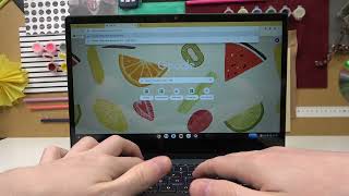 Lenovo Chromebook - How To Enable & Disable Touch Screen
