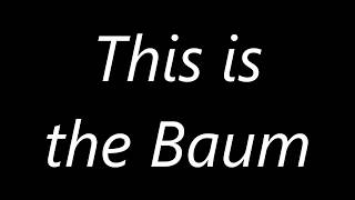 "The Incredible Loberboys - This is the Baum" Christbaumloben in Ulm, um Ulm und um Ulm herum