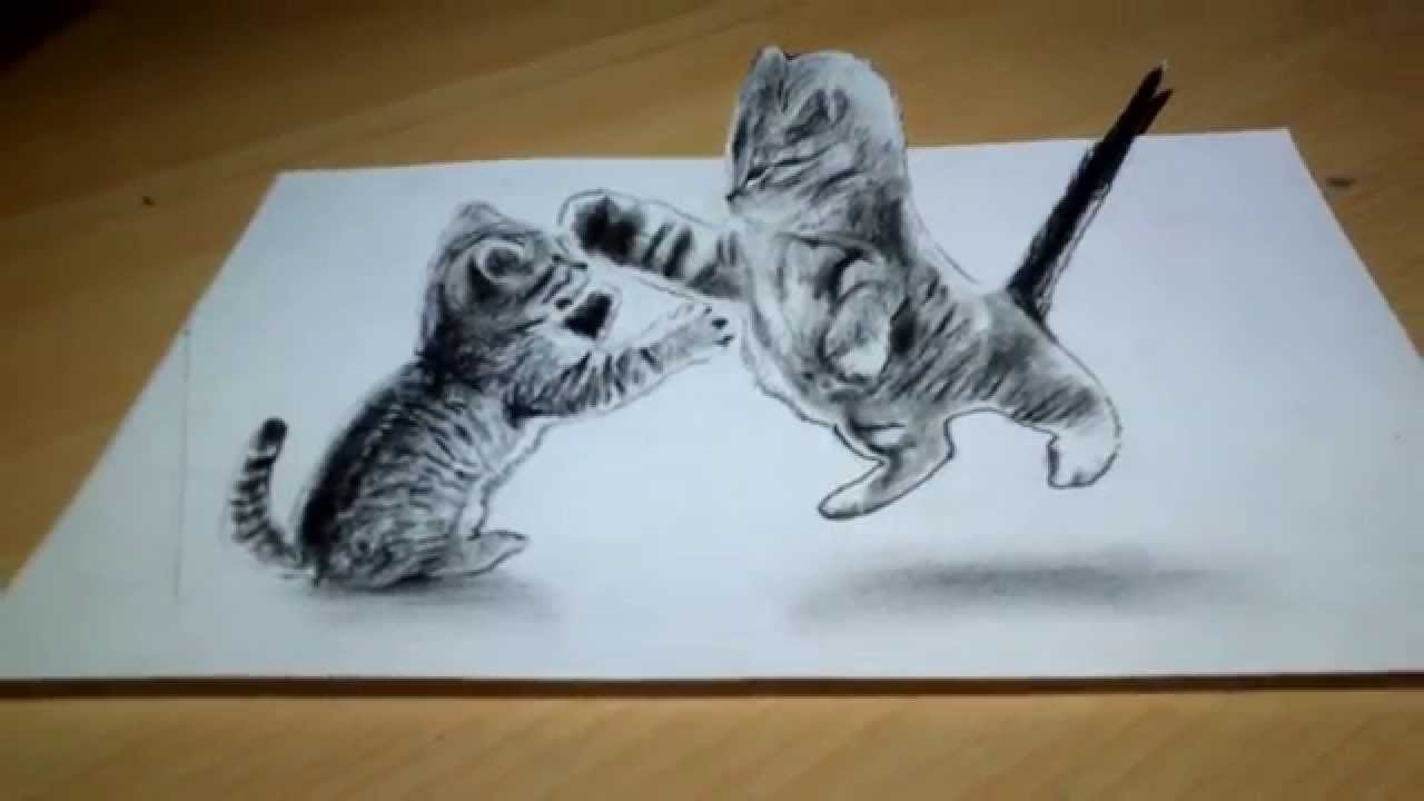 Cute Cat Drawing 3D Anamorphic illusion - YouTube