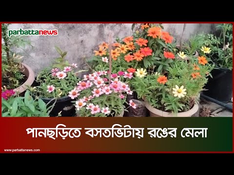 পানছড়িতে বসতভিটায় রঙের মেলা