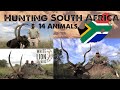 Hunting 14 Plains Game Animals with White Lion Safaris