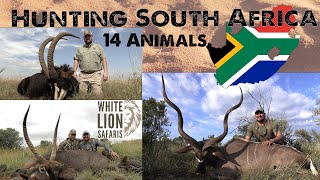 Hunting 14 Plains Game Animals with White Lion Safaris