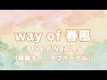 【カラオケ音源】way of 春風 / THE PINBALLS【オフボーカル】