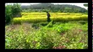 เพลงลีซู 3.flv