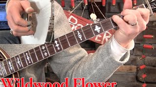 Wildwood Flower on Banjo–Using Your Pinky! chords