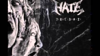 Hate - Luminous Horizon (cover version 2014)
