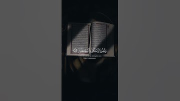 قَالَ رَبِّ إِنِّي دَعَوْتُ قَوْمِي لَيْلًا وَنَهَارًا - ماهر المعيقلي - سورة نوح .