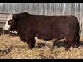 2024 WOLFE FARMS LOT 30L