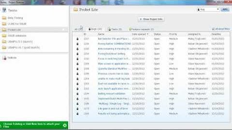 BONTQDesktopWindowClosing