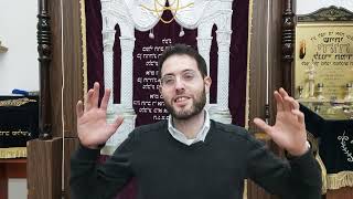 פרשת השבוע פרשת ויגש