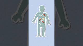 Признаки дефицита цинка #цинк #здоровье