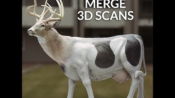 Blender Secrets - How to merge 3D Scans (1 minute version)