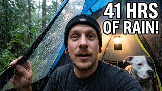Camping in the Rain with My Dog for 41 Hours