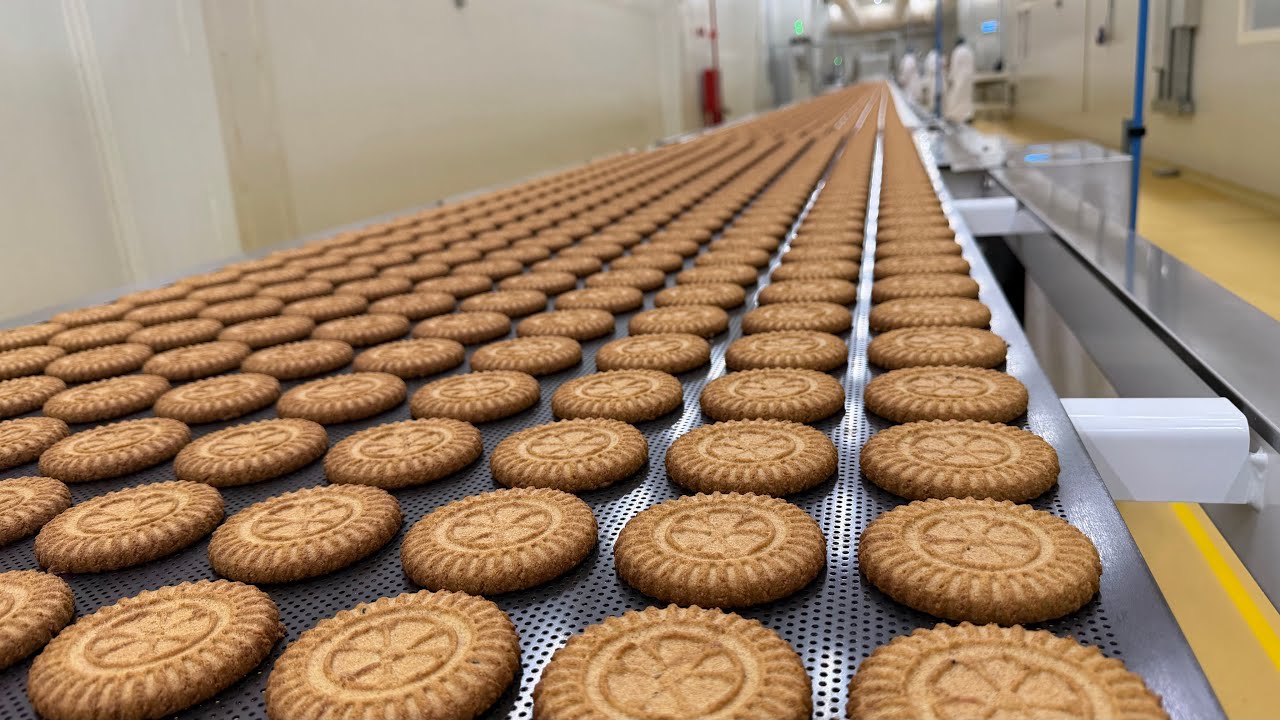 مصنع أفران الحطب 🪵 