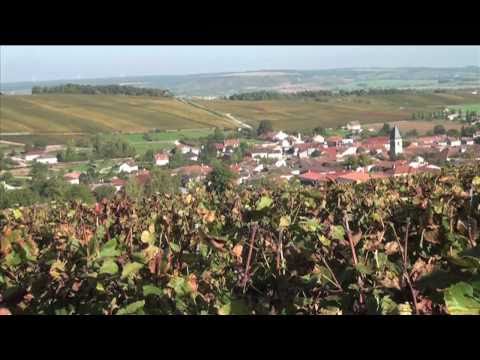 Видеоролик: Шампань — Арденны — игристое путешествие
