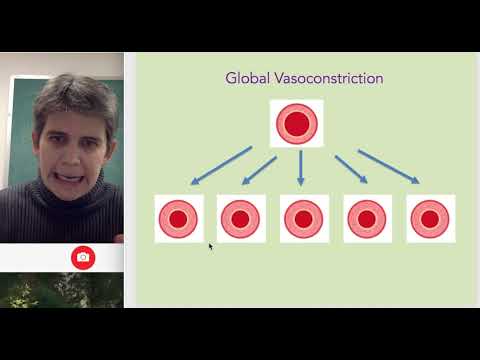 Vasoconstriction and Vasodilation