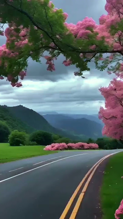 Everything I do I do it for you  Instrumental #guitarinstrumentalmusic #classisic #bryanadams