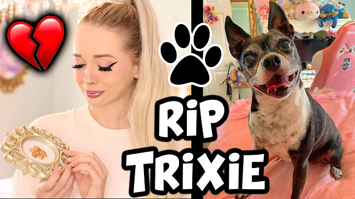 Losing my Best Friend... RIP Trixie