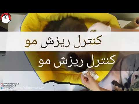 تصویری: Feliwei: فرمون برای گربه ها ، در صورت استفاده از دارو ، موارد منع مصرف و عوارض جانبی ، بررسی ، هزینه