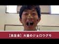 【虫生食】大量のジョロウグモ