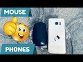 How to Use a Mouse With your Phone